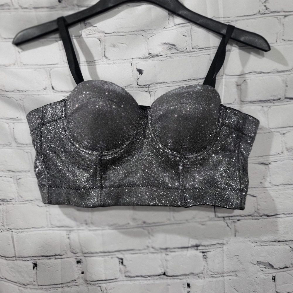The Sang Sparkling Gray Bustier Top
